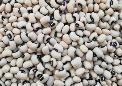 black eyed bean