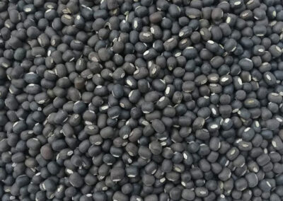 black matpe ssq