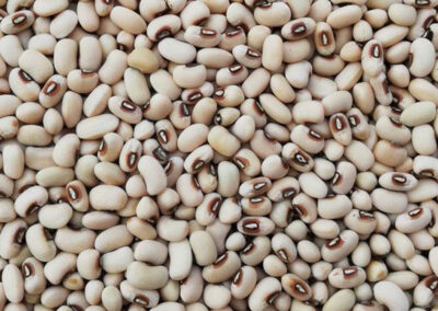 brown eyed bean