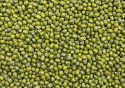 green mung bean upper myanmar origin