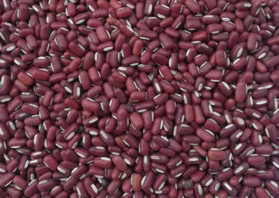 red bamboo bean