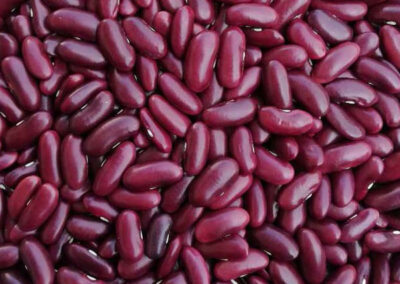 red kidney bean