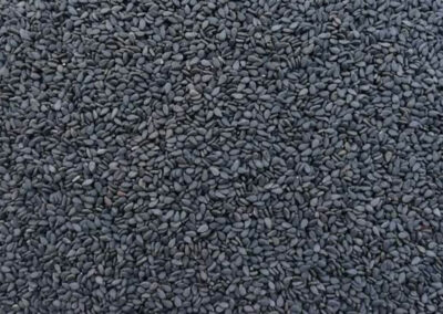 sesame seeds science