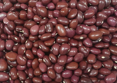 sultani bean