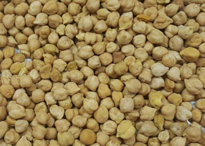 white chick pea